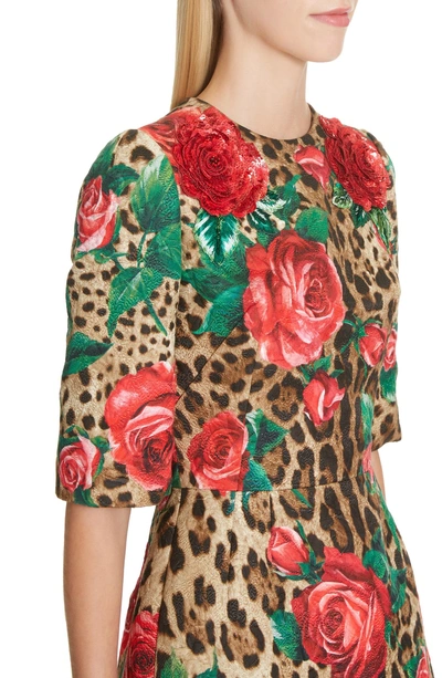 Shop Dolce & Gabbana Embellished Rose & Leopard Print Brocade Dress In Hkirs Rose Leo