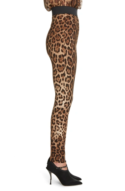 Shop Dolce & Gabbana Leopard Print Cady Leggings In Hy13m Leo