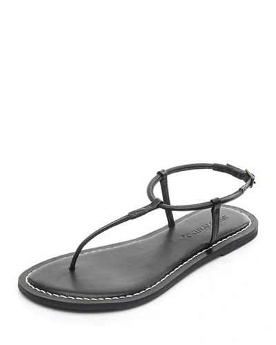 Shop Bernardo Lilly Flat Thong Sandals In Black