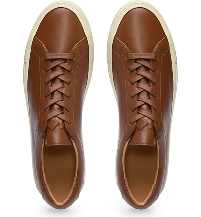 Shop Koio Capri Sneaker In Espresso