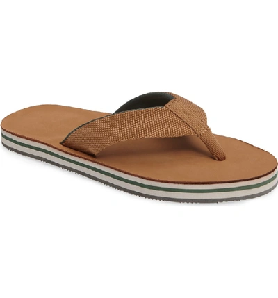 Shop Hari Mari 'scouts' Flip Flop In Tan/forest Green