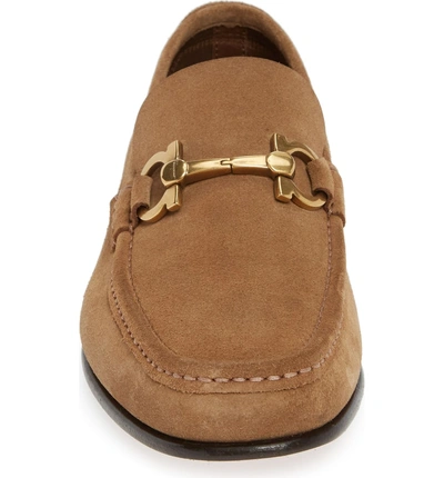 Shop Ferragamo Fiordi Bit Loafer In Brown Sugar Suede