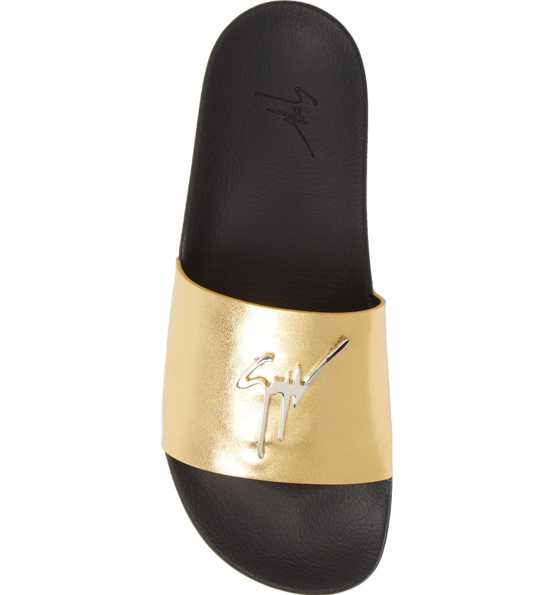zanotti slides