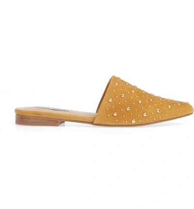 Steve madden tempo studded mule sale