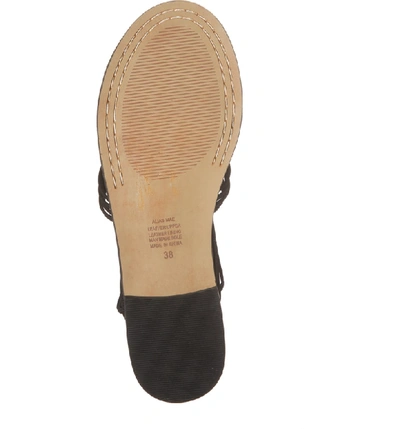 Shop Alias Mae Theory Strappy Flat Sandal In Black Nubuck Leather