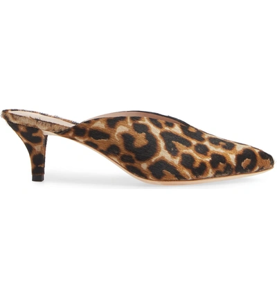 Shop Loeffler Randall Juno Mule In Light Leopard Calf Hair