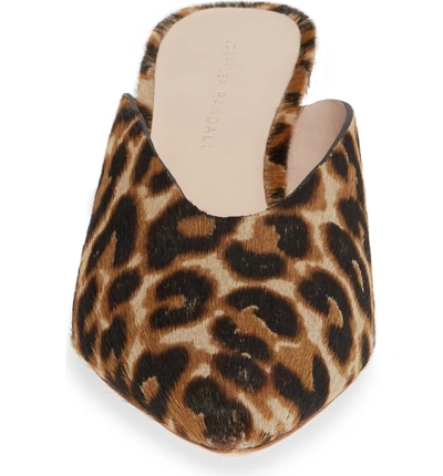 Shop Loeffler Randall Juno Mule In Light Leopard Calf Hair