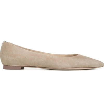 Shop Sam Edelman Sally Flat In Oatmeal Suede Leather