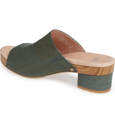 maci mule sandal