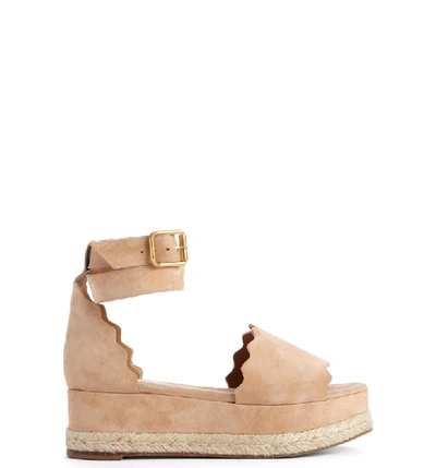 Shop Chloé Lauren Espadrille Wedge Sandal In Beige Suede