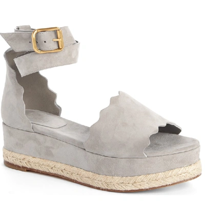 Shop Chloé Lauren Espadrille Wedge Sandal In Elephant Grey Suede