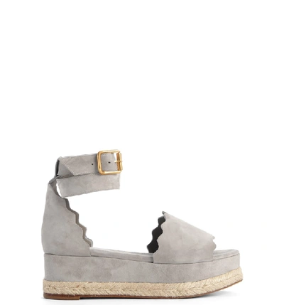 Shop Chloé Lauren Espadrille Wedge Sandal In Elephant Grey Suede