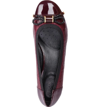 Shop Geox Chloo Pump In Dark Burgundy Leather