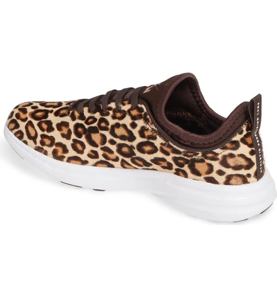 Shop Apl Athletic Propulsion Labs Genuine Calf Hair Sneaker In Cheetah