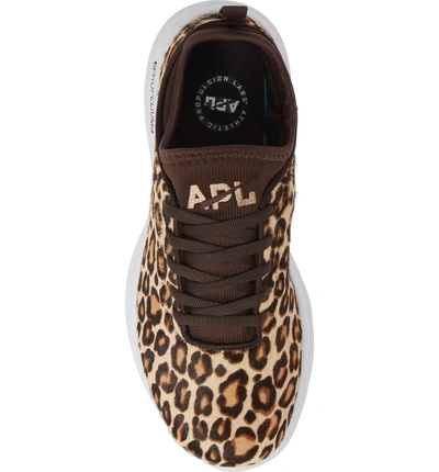 Shop Apl Athletic Propulsion Labs Genuine Calf Hair Sneaker In Cheetah