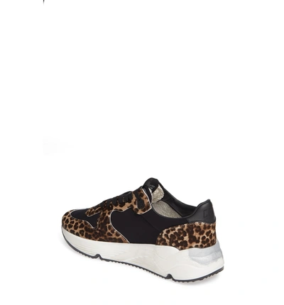 Shop Golden Goose Running Sole Genuine Calf Hair Sneaker In Leopard/ White