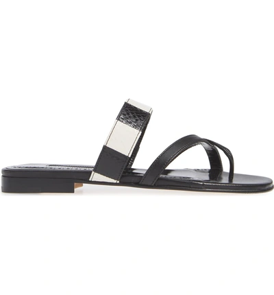 Shop Manolo Blahnik Susa Genuine Snakeskin Sandal In Black/ White Leather