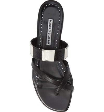 Shop Manolo Blahnik Susa Genuine Snakeskin Sandal In Black/ White Leather