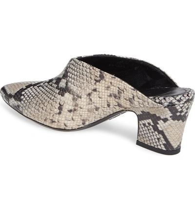 Shop Aquatalia Olima Weatherproof Mule In Taupe/black Snake Print