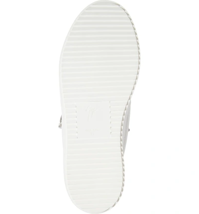 Shop Giuseppe Zanotti Low Top Sneaker In White/ Fuchsia