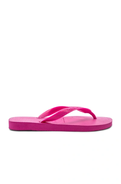 Shop Havaianas Top Sandal In Hollywood Rose