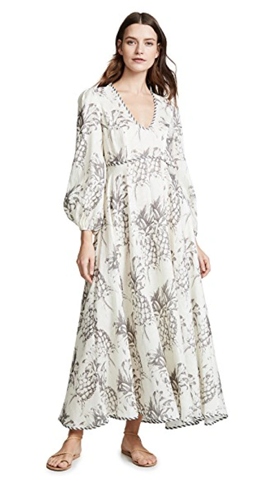 Shop Zimmermann Wayfarer Plunge Neck Dress In Pineapple Print