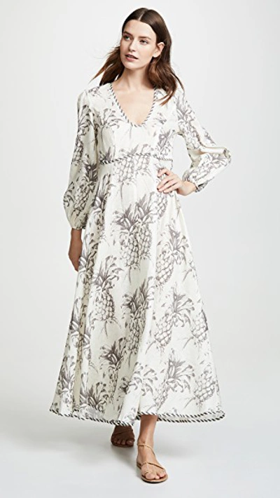 Shop Zimmermann Wayfarer Plunge Neck Dress In Pineapple Print