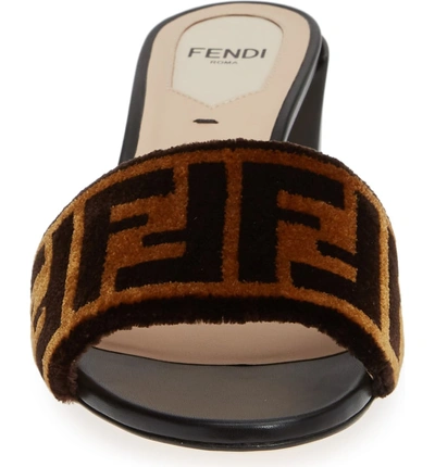 Shop Fendi Logo Slide Sandal In Black/ Brown