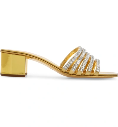 Shop Giuseppe Zanotti Crystal Embellished Slide Sandal In Gold