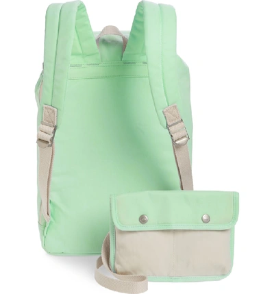 Shop Doughnut Montana Water Repellent Backpack - Green In Soda/ Cream