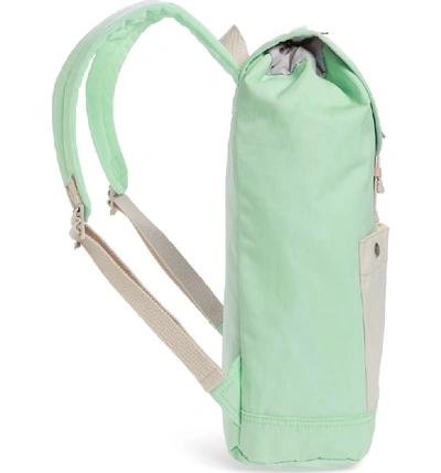 Shop Doughnut Montana Water Repellent Backpack - Green In Soda/ Cream