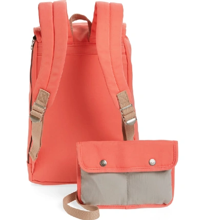 Shop Doughnut Montana Water Repellent Backpack In Peach/ Ivory