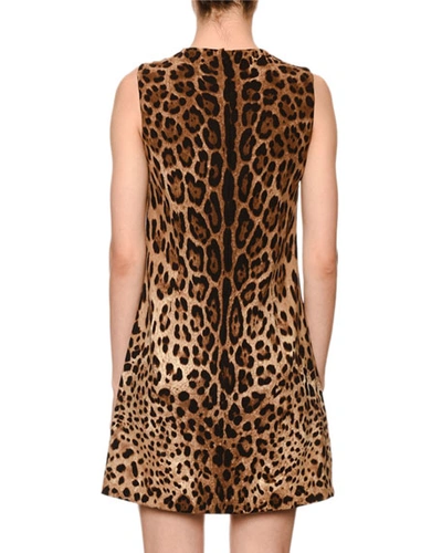 Shop Dolce & Gabbana Sleeveless Leopard Print Shift Dress