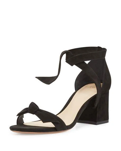 Alexandre Birman Clarita Suede 60mm City Sandals In Black