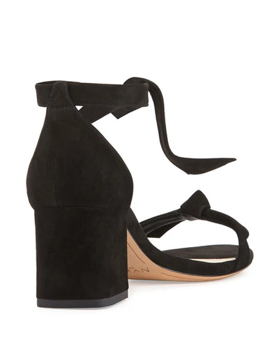 Alexandre Birman Clarita Suede 60mm City Sandals In Black