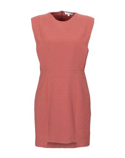 Shop Intropia Short Dress In Brick Red
