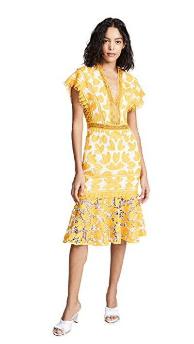Shop Saylor Kaiya Dress In Mustard/white