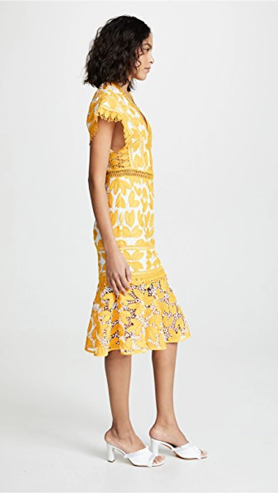 Shop Saylor Kaiya Dress In Mustard/white