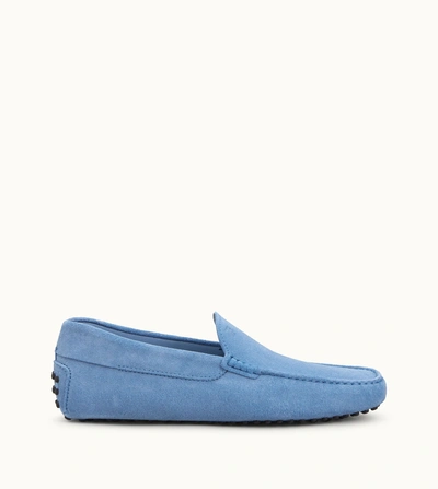 Shop Tod's Gommino Driving Shoes In Suede In Light Blue