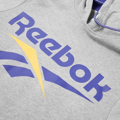 Shop Reebok Vector Hoody In Grey