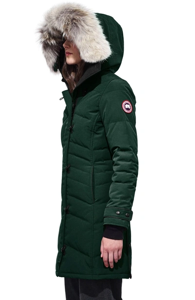 Shop Canada Goose 'lorette' Hooded Down Parka With Genuine Coyote Fur Trim In Spruce