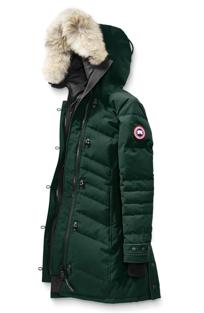 Shop Canada Goose 'lorette' Hooded Down Parka With Genuine Coyote Fur Trim In Spruce