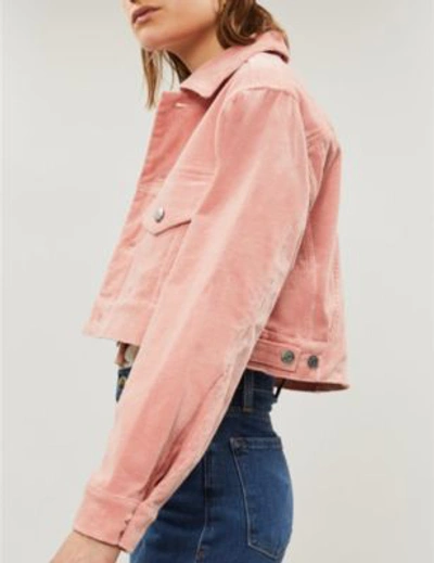 Shop Ganni Ridgewood Cropped Corduroy Jacket In Sil Pink