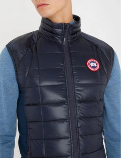 Shop Canada Goose Hybridge Lite Quilted Shell-down Gilet In S:ad Blu/l:black