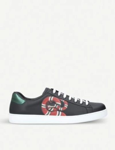 New Ace embroidered-snake leather trainers