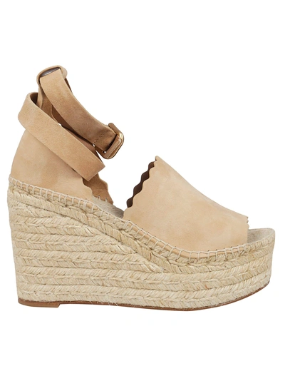 Shop Chloé In Reef Shell