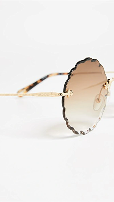 Shop Chloé Rosie Scalloped Sunglasses In Gold/gradient Brown