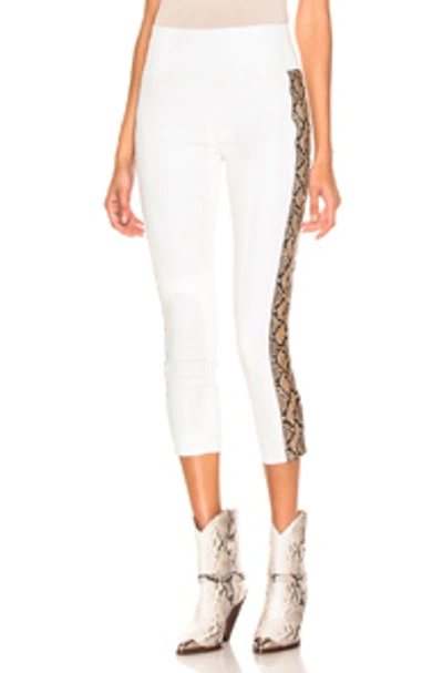 Shop Sprwmn Snake Stripe Capri Legging In Animal Print,white In White & Tan Snake Print
