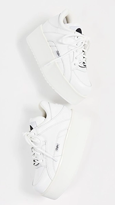 Shop Buffalo Rising Towers Sneakers In Blanco