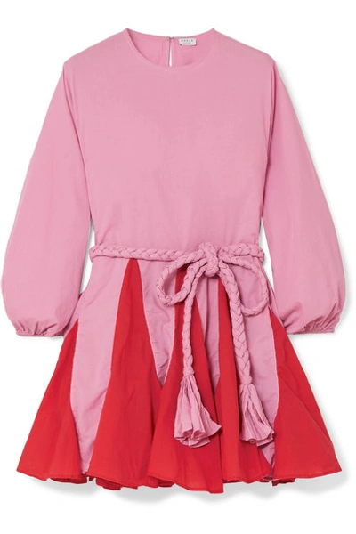 Shop Rhode Ella Two-tone Belted Cotton Mini Dress In Pink